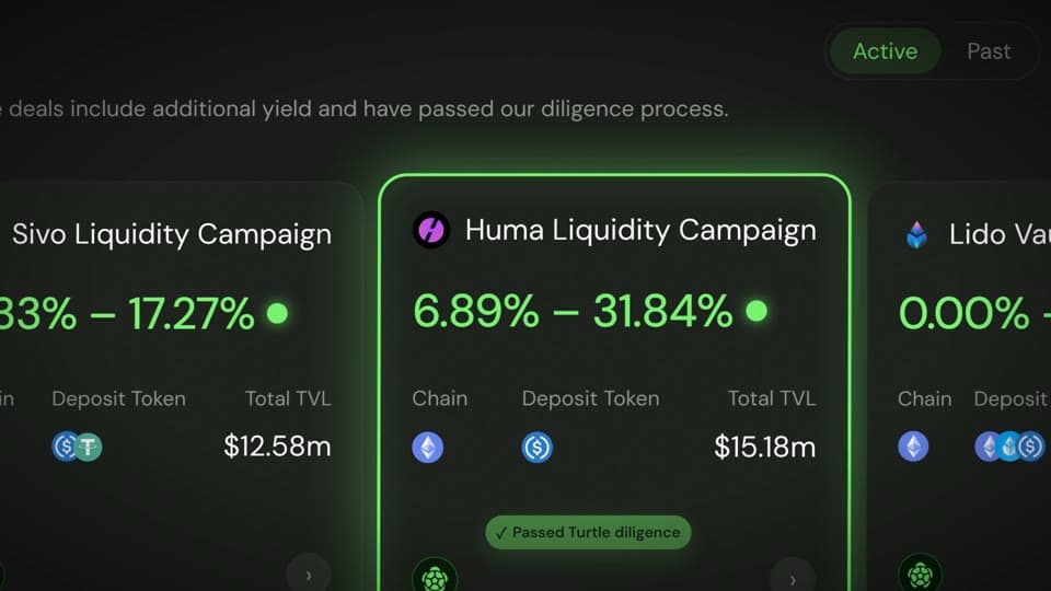 Turtle Earn interface showing several liquidity campaign cards.