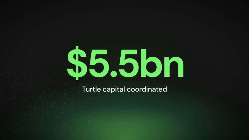Turtle closing frame with a large green capital-coordinated figure.